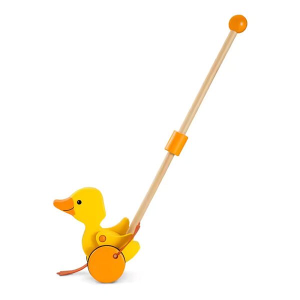 Pull & Push Along Toys